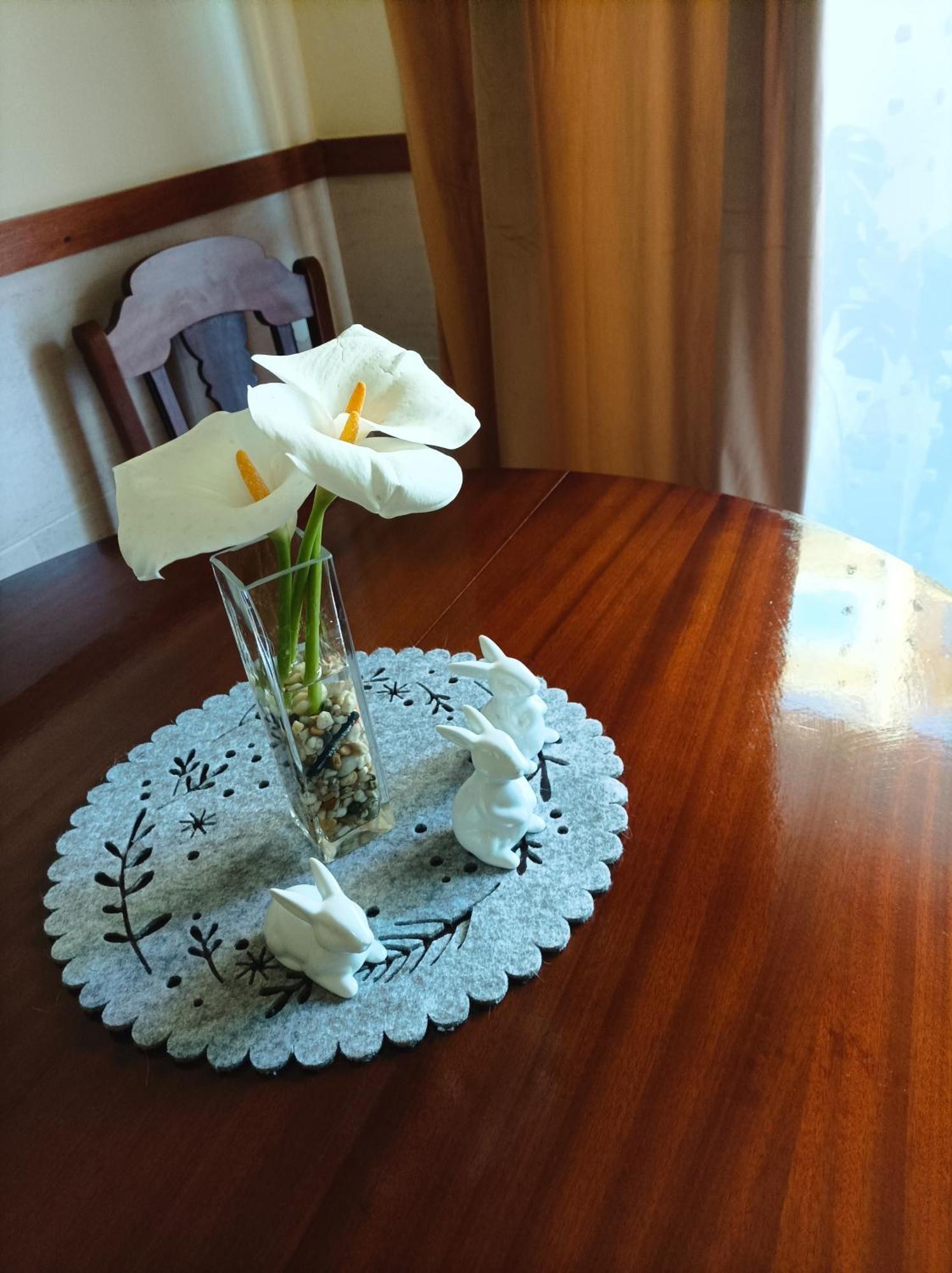 Cavado Terrace Studio Parada de Tibaes 外观 照片